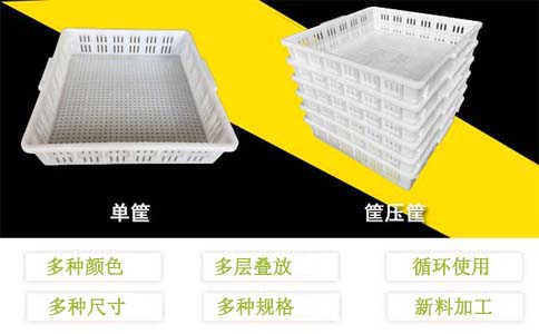 四平塑料筐周转箱厂家,果蔬禽业加工-沈阳兴隆瑞